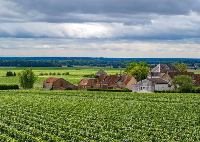 Visite de vignoble lors de votre séminaire en Bourgogne