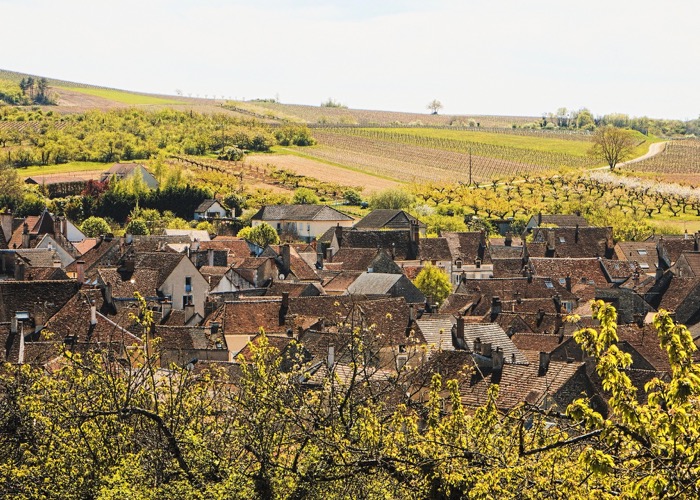 Visite de village et de vigne en Bourgogne lors d'un voyage en comité d'entreprise autour du vin et de la gastronomie