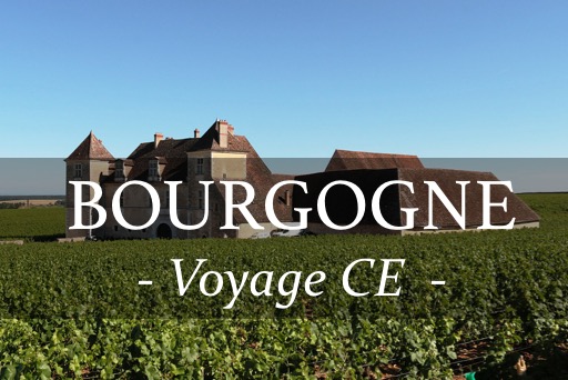 Organisez votre voyage CE en Bourgogne et découvrez la gastronomie et les vins de la région