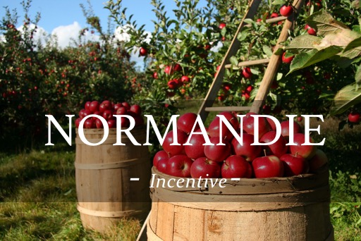 visite de production de cidre et culture de pomme lors d'une incentive en Normandie autour de la gastronomie et du vin