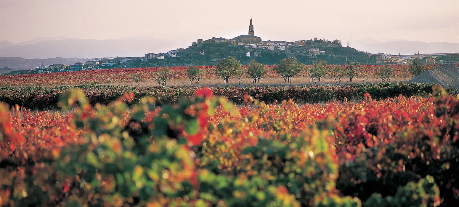 Organisez votre séminaire dans la Rioja en Espagne et découvrez la région à travers ses vins et sa gastronomie